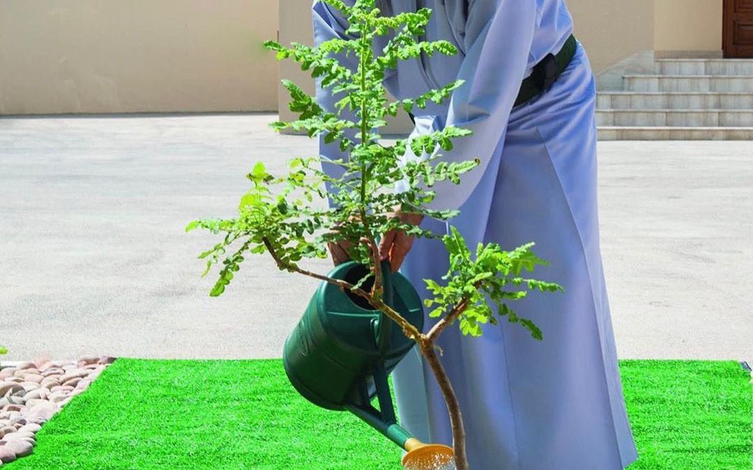Oman Tree Day: A call to action for a greener Oman