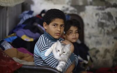 UNICEF Applauds Oman’s Million-Dollar Donation: A Lifeline for Children in Gaza