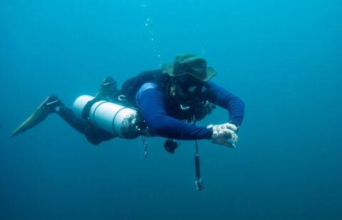 Diving Deep: An Engineer's Journey from Oil Fields to Ocean Depths