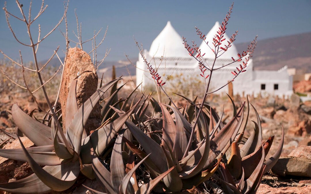 “Marhaba Dhofar: Strengthening Oman-Saudi Tourism Collaboration Through Heritage and Adventure”