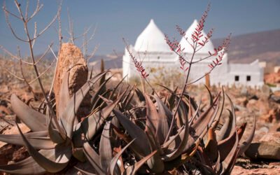 “Marhaba Dhofar: Strengthening Oman-Saudi Tourism Collaboration Through Heritage and Adventure”