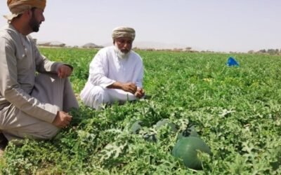 The Importance of Agriculture in Oman: A Path to Sustainability and Self-Sufficiency