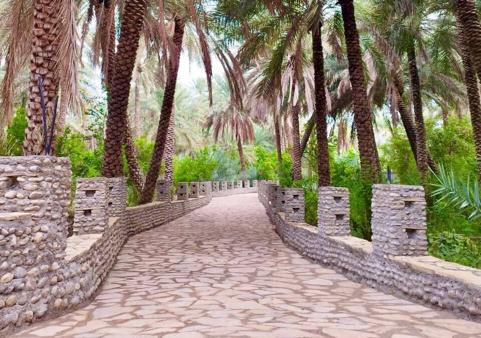 Hajrat al Shaikh Tourist Walkway: A Must-Visit in Wadi Al-Ma’awal