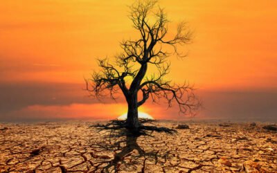 Oman Showcases Sustainability on World Day to Combat Desertification and Drought