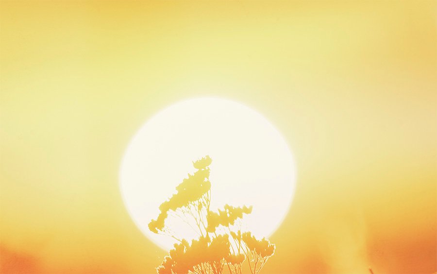 Oman Among the Hottest Places on Earth — What Does It Mean for Us?