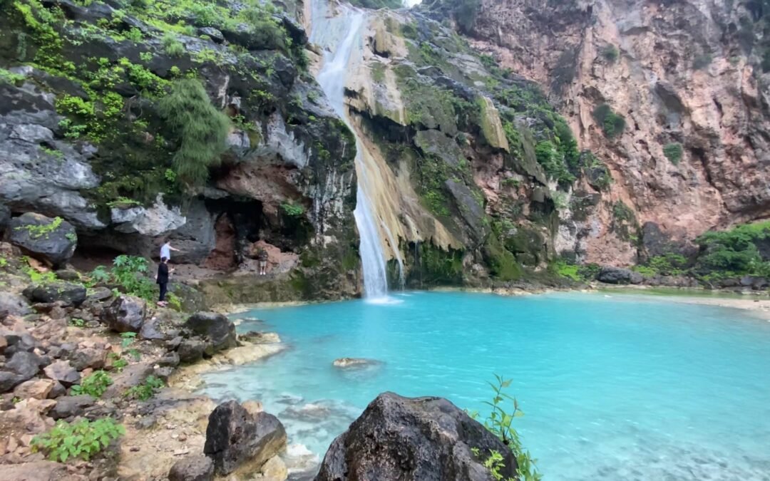 Salalah’s Top Green Escapes: Public Parks Perfect for Picnics, Walks & Play