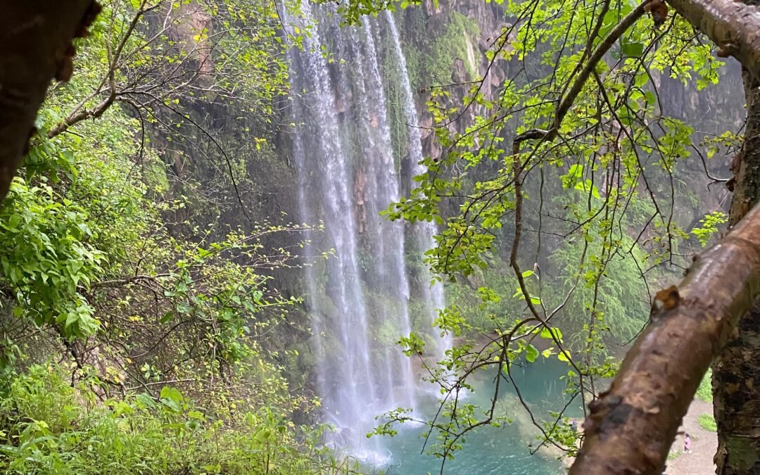 Discover the Beauty of Salalah’s Springs: Your Serene Natural Destination in Autumn