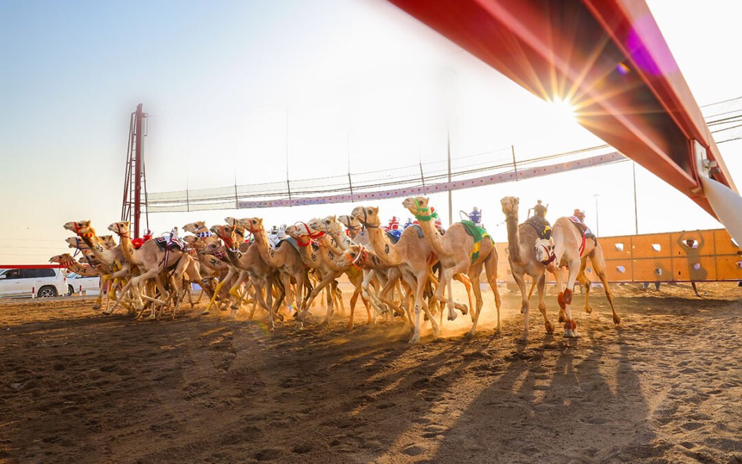 Al Bashayer Camel Racing Festival: Heritage Revival & Sustainable Development