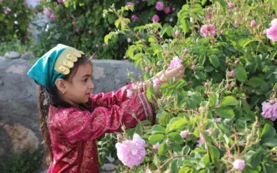 Oman’s Al Jabal Al Akhdar Rose Project Surpasses 65% Completion