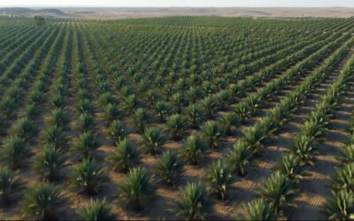 Oman Strengthens Food Security with OMR 1.9 Billion Investment