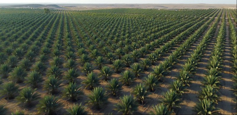 Oman Strengthens Food Security with OMR 1.9 Billion Investment