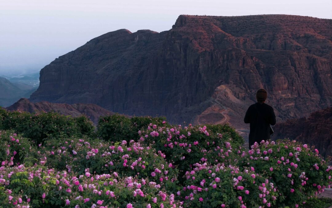 Why Al Jabal Al Akhdar’s Rose Season Is Oman’s Hottest Travel Trend Right Now