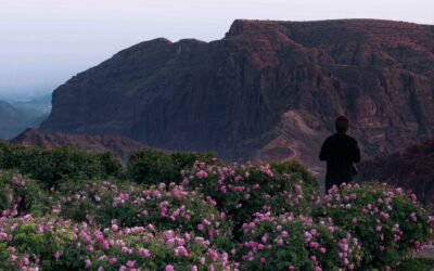 Why Al Jabal Al Akhdar’s Rose Season Is Oman’s Hottest Travel Trend Right Now