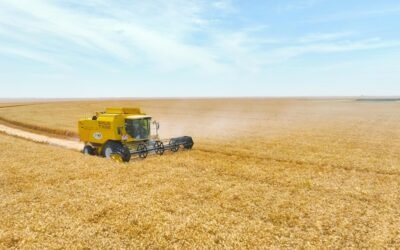 Thumrait Wheat Harvest Field Day Highlights Oman’s Agricultural Growth and Food Security Goals