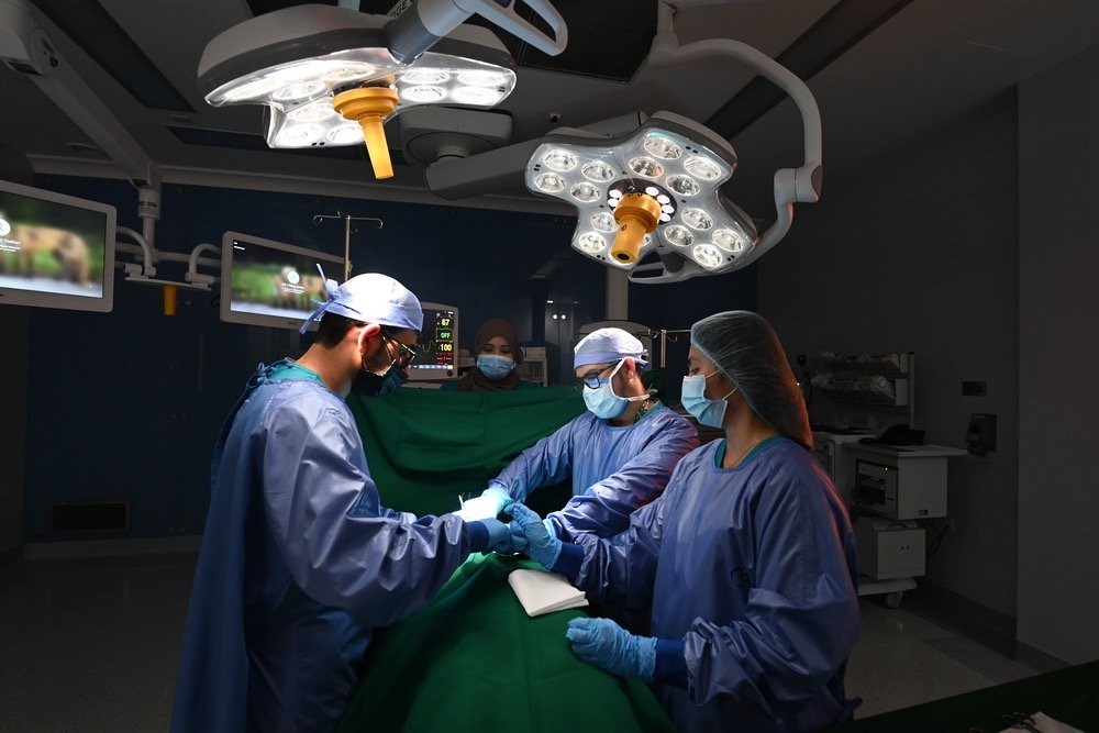 Oman Marks World Health Day with Strong Push for Digital Innovation and AI in Healthcare