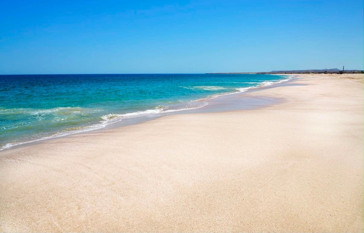 Discover Ras Al Hadd: Oman’s Hidden Coastal Paradise