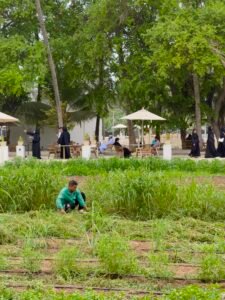 oman-al-gharf-tropical-ecotourism-farm-salalah-dhofar